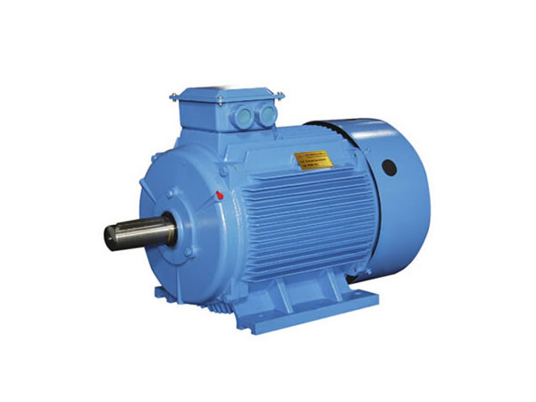 Permanent Magnet Synchronous Motor